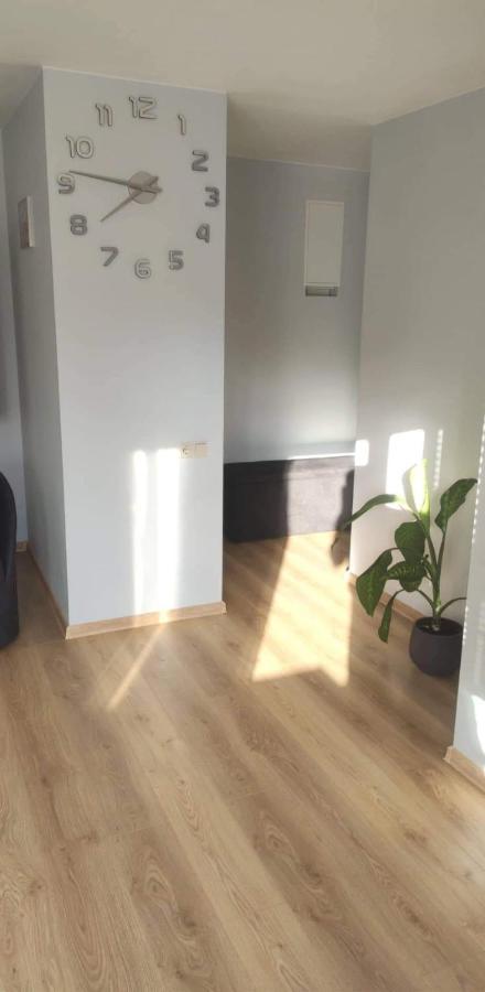 Butas Miesto Centre/ Apartment In The City Center シャウレイ エクステリア 写真