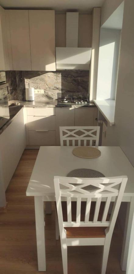 Butas Miesto Centre/ Apartment In The City Center シャウレイ エクステリア 写真